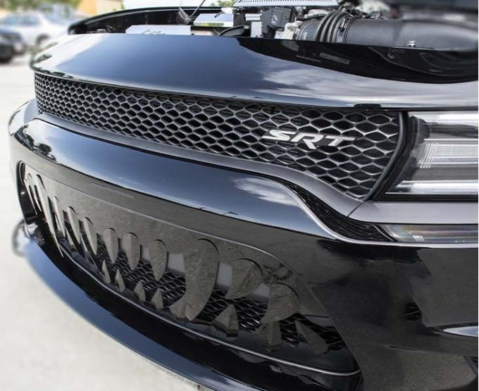 American Car Craft 2015-2019 Charger Hellcat/Scat Pack - Sabretooth Grille, Stainless Steel (Brushed Stainless Steel) 332024