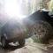 BFGoodrich BFG All-Terrain T/A KO2 Tire 235/75R15 104S 700866