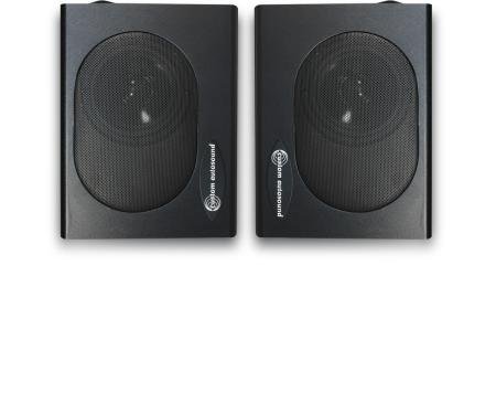 Custom Autosound Undercover I Speaker Enclosures
