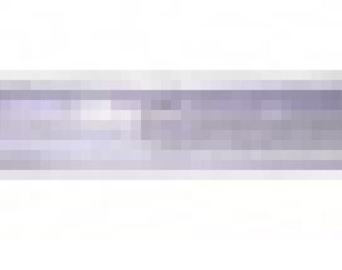 Classic Headquarters F-Body Door Glass Window Sash W-603