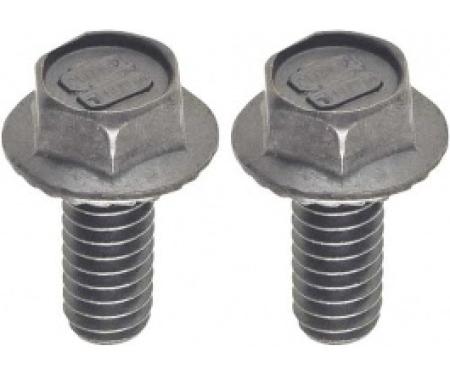 Ford Thunderbird Rear License Plate Light Bolt Set, 1964-66
