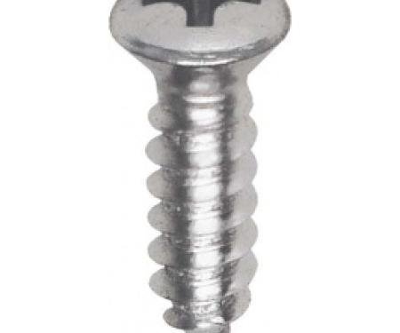 Ford Thunderbird Stainless Steel Door Panel Moulding Screw Set, 1964-66
