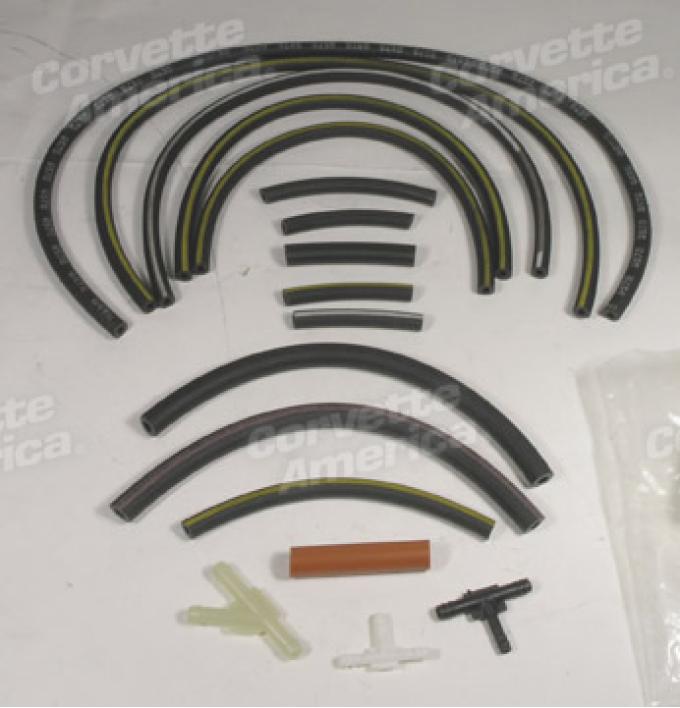 Corvette Emission Hose Kit, L48 with NA6, 1978