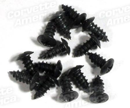Corvette Weatherstrip Screw Set, Above Door on Body, 1963