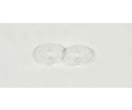 El Camino Door Lock Knob Ferrules, Clear, 1964-1967