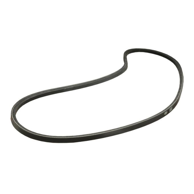 Dennis Carpenter Generator Water Pump Belt - 1953 Ford Truck, 1953 Ford Car   8BA-8620-B