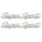 Full Size Chevy Fender Scripts, Impala Super Sport, 1965-1966