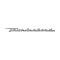 Ford Thunderbird Door Nameplate, Thunderbird Script, Chrome, 1959