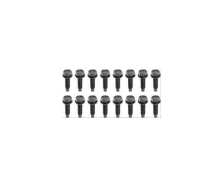 Camaro Lower Door Hinge Bolt Set 1968-1981