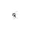 Ford Mustang Quarter Panel Skin - Right - All Models - LateDesign Without Indentation