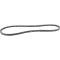 Ford Thunderbird Power Steering Belt, Notched, Used Through Early 1956