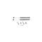 Chevy Liftgate Supports, Nomad, Gas Strut, 1955-1957