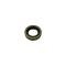 Camaro Rear Axle Bearing Seal, 10-Bolt Or 12-Bolt Differential, 1967-1969