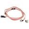 Firebird Dome Light Wiring Harness, 1967-1969