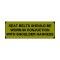 Ford Mustang Decal - Sun Visor - Shelby Seatbelts