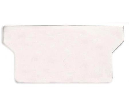 Corvette Exhaust Filler Plate, Polished Stainless Steel With No Logo, 1997-2004