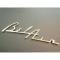 Chevy Speaker Script Emblem, Bel Air, Chrome, 1955-1956