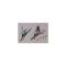 Full Size Chevy Accessory Front Fender Ornaments, 1960