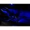 Corvette, Superbright LED Bulb Package, 2005-2013