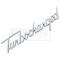 Full Size Chevy Turbocharged Script Emblem, Chrome, 1958-1984