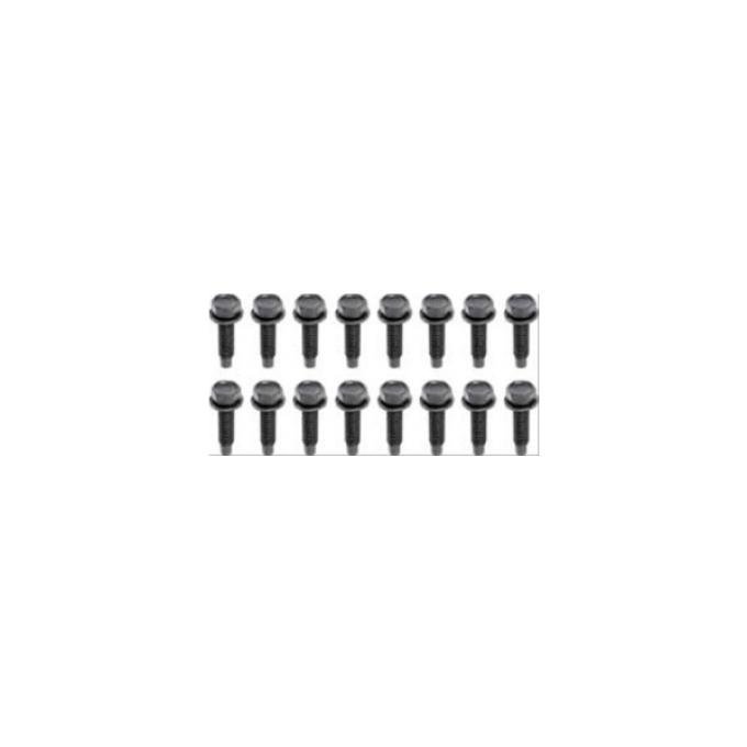 Camaro Lower Door Hinge Bolt Set 1968-1981