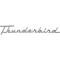 Ford Thunderbird Quarter Panel Nameplate, Thunderbird, 1955-56