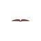 Full Size Chevy Quarter Panel Fender Skirts, 1959