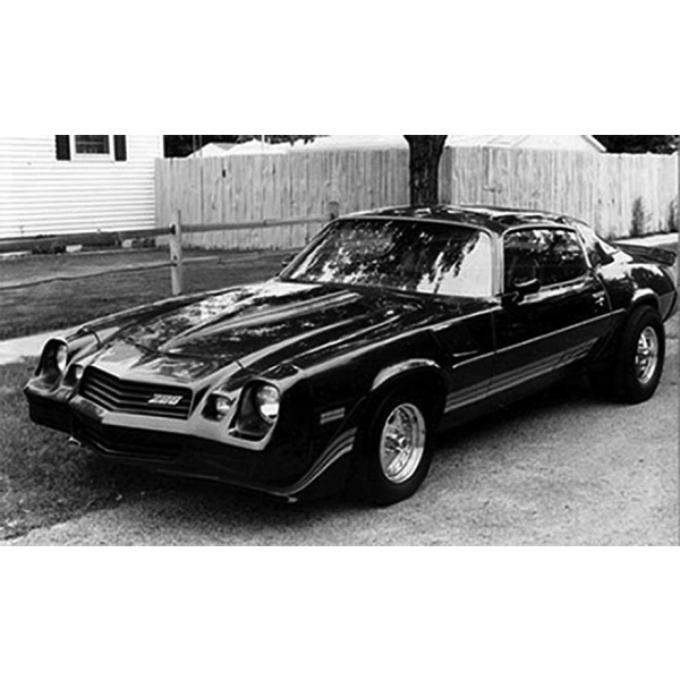 Camaro Strip Kit, Z28, Silver Charcoal, 1980-1981