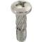 Ford Thunderbird Tail Light Lens Screw, Phillips Type, 1961