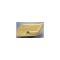 CA 1970-1976 Chevrolet Corvette Door Panel Standard RH