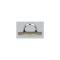 Chevy Horn Ring Center Cap, Chrome, Bel Air, 210, 1957