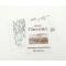 Full Size Chevy Wiring Harness Diagram Manual, 1963