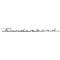 Ford Thunderbird Front Fender Nameplate, Thunderbird, Chrome, 1957-59