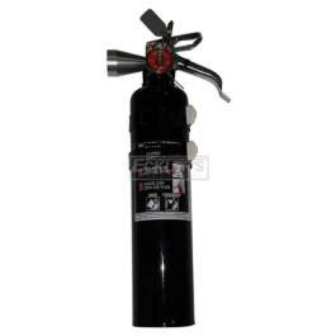 Fire Extinguisher, H3R Halguard, Black, 2.5 Lb.