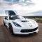 GlassSkinz 2014-19 Corvette Bakkdraft Rear Window Valance / Louver C7BAKKDRAFT | Carbon Flash GAR - BLEM