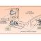 63-82 Body Mount Cage - And Nut