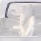 OER 1978-81 Camaro / Firebird Fisher T-Top Body Weatherstrips K234
