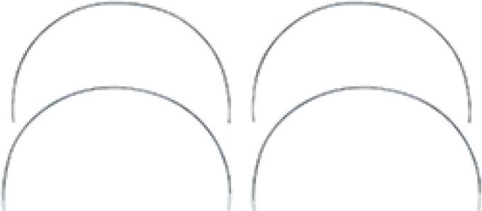 Firebird Wheel Well Molding Set, 1969
