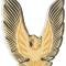 OER 1979-81 Trans AM Fuel Filler Door Emblem Gold 5973148